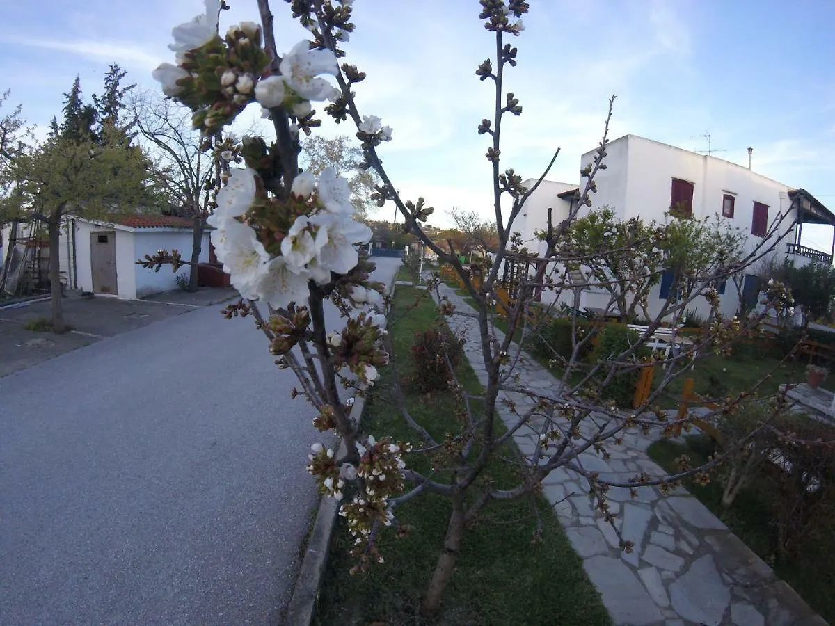 Mykoniatika Villa Nea Kallikrateia Holiday home